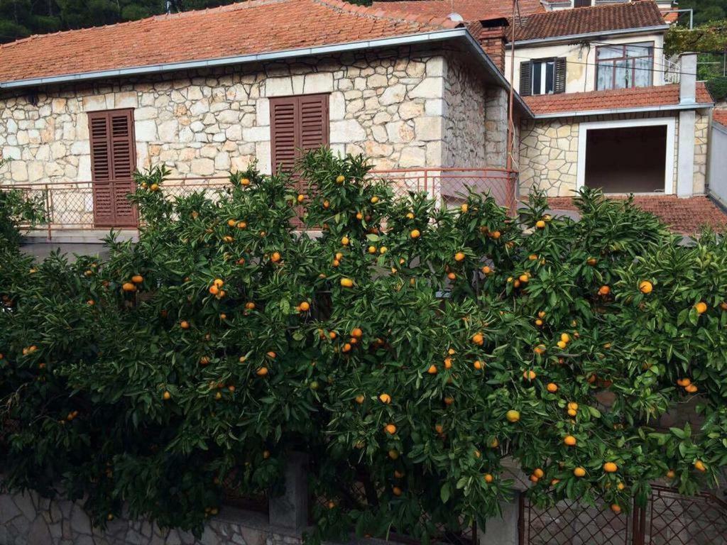 Holiday House With A Parking Space Svirce, Hvar - 17682 Vrbanj Exterior foto